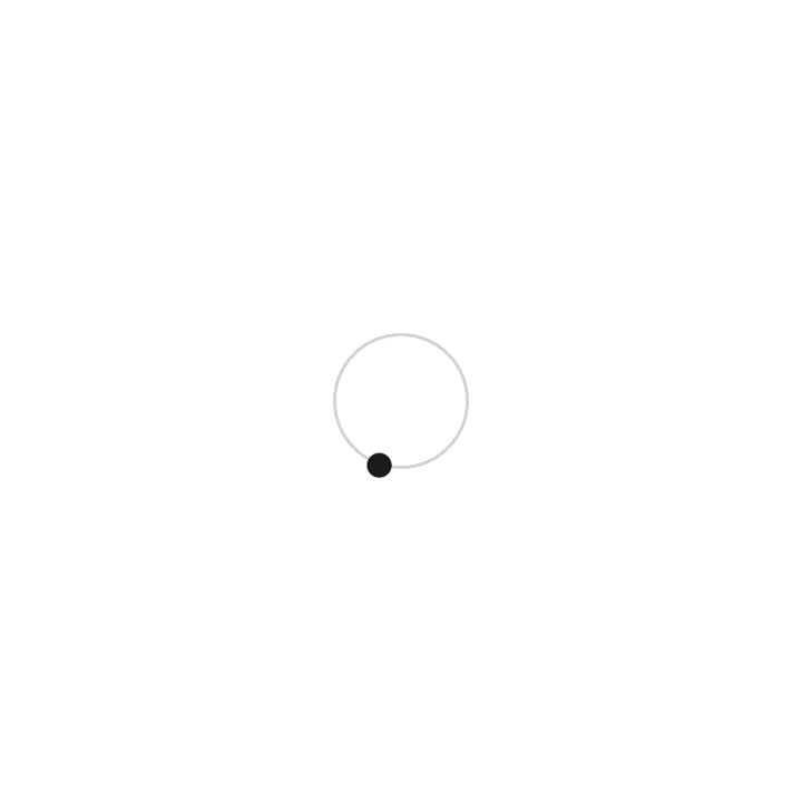 Motion Loader