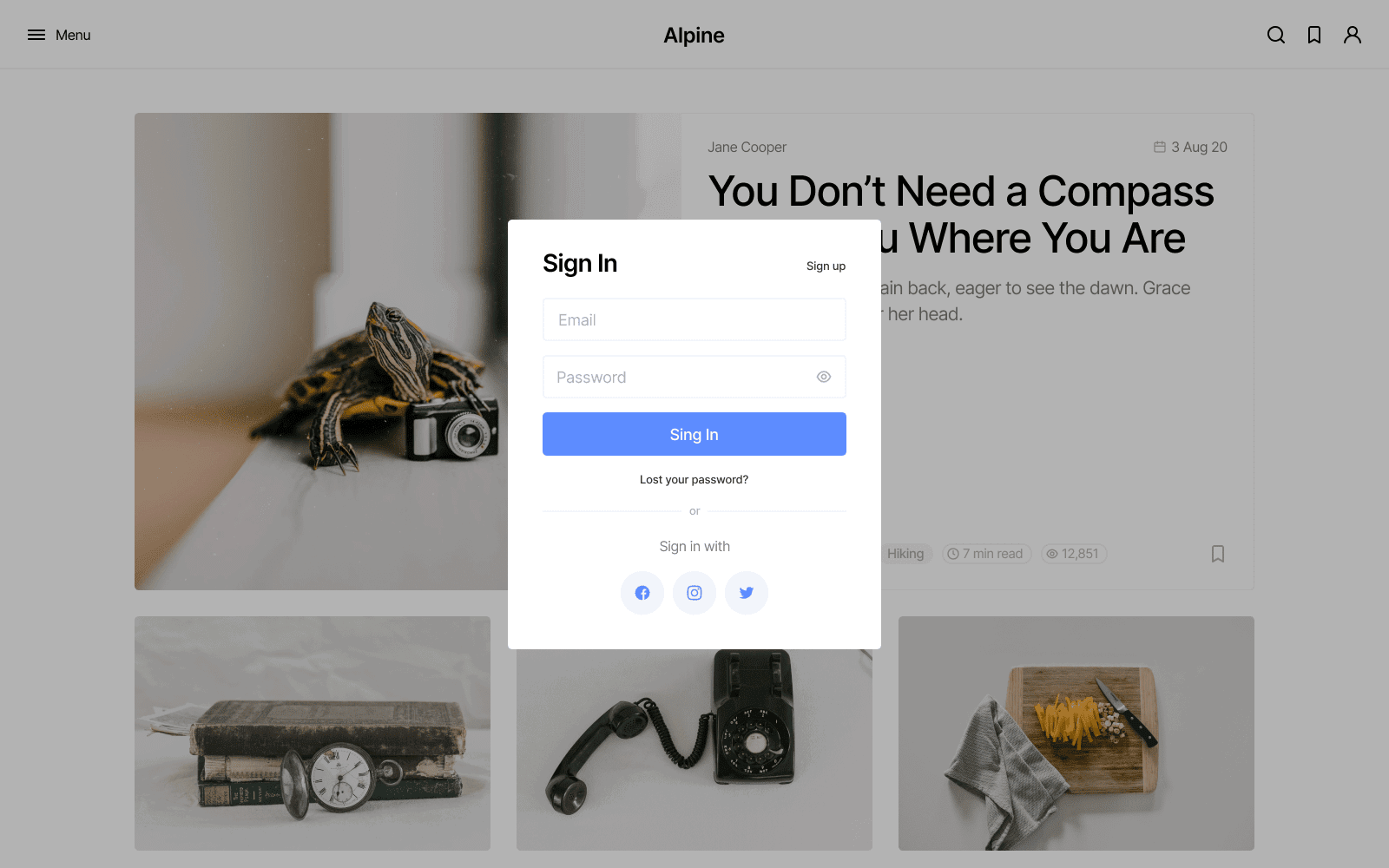 Alpine — preview 18