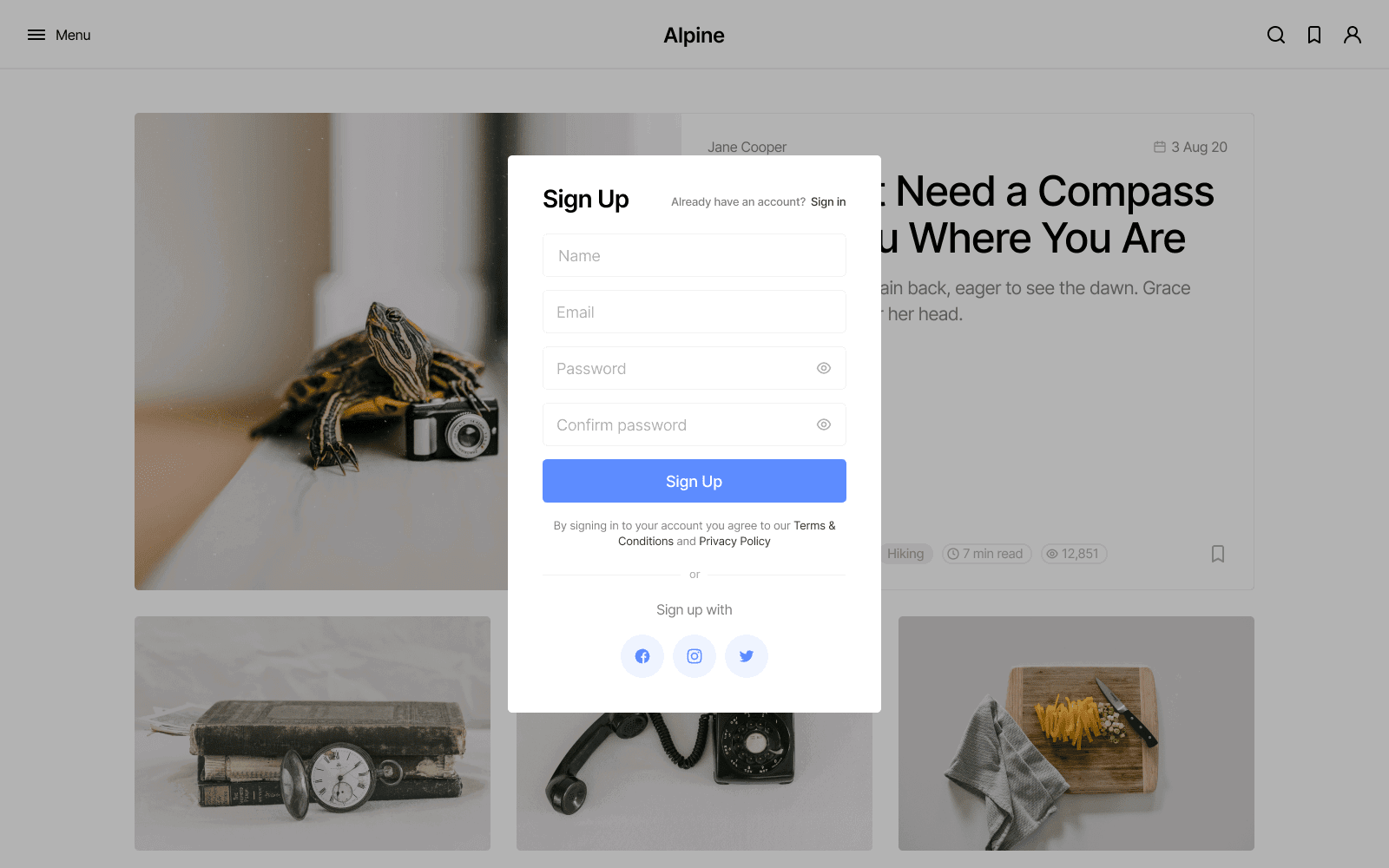 Alpine — preview 19